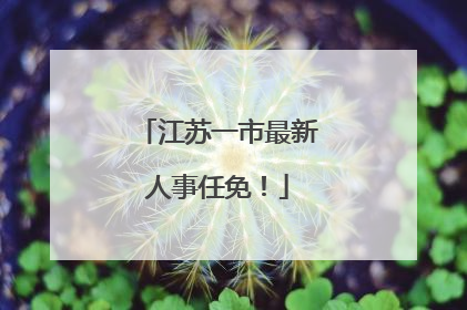 江苏一市最新人事任免！