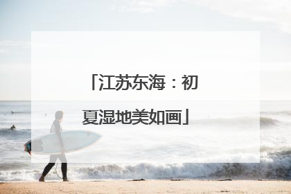江苏东海：初夏湿地美如画