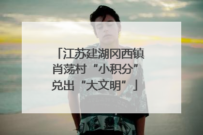 江苏建湖冈西镇肖荡村“小积分”兑出“大文明”