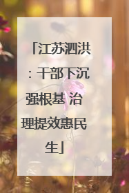 江苏泗洪：干部下沉强根基 治理提效惠民生