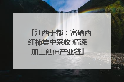 江西于都：富硒西红柿集中采收 精深加工延伸产业链