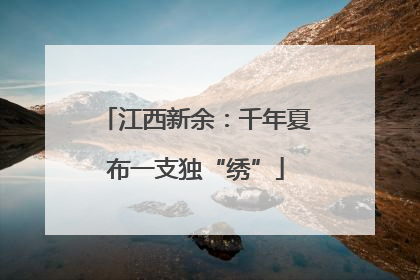 江西新余：千年夏布一支独“绣”