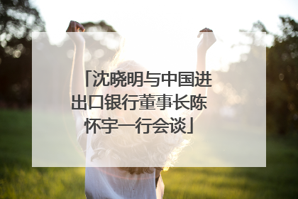 沈晓明与中国进出口银行董事长陈怀宇一行会谈