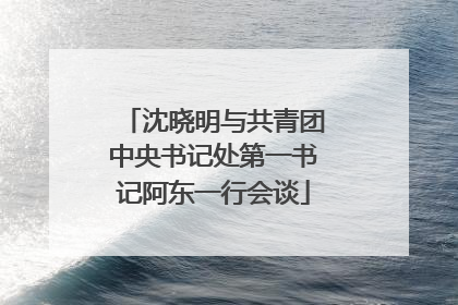 沈晓明与共青团中央书记处第一书记阿东一行会谈