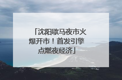 沈阳歇马夜市火爆开市！首发引擎点燃夜经济