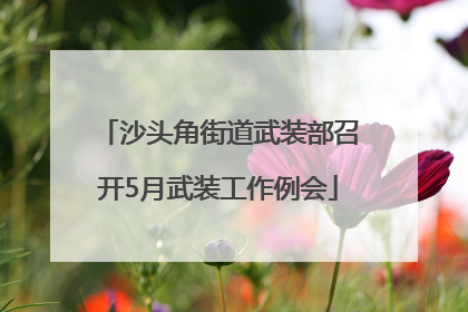 沙头角街道武装部召开5月武装工作例会