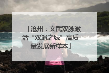 沧州：文武双脉激活“双遗之城”高质量发展新样本