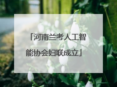 河南兰考人工智能协会妇联成立