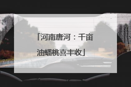 河南唐河：千亩油蟠桃喜丰收