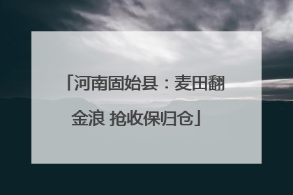 河南固始县：麦田翻金浪 抢收保归仓