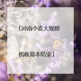 河南小麦大规模机收基本结束