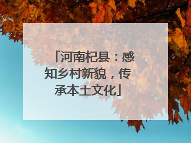 河南杞县：感知乡村新貌，传承本土文化