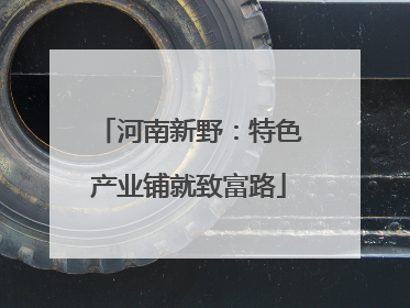 河南新野：特色产业铺就致富路