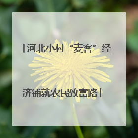 河北小村“麦客”经济铺就农民致富路