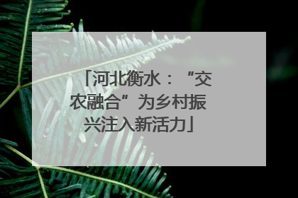 河北衡水：“交农融合”为乡村振兴注入新活力