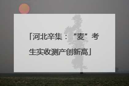 河北辛集：“麦”考生实收测产创新高