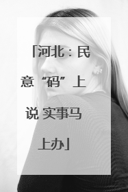 河北：民意“码”上说 实事马上办