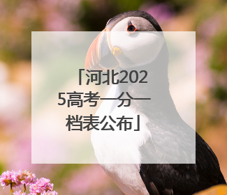 河北2025高考一分一档表公布
