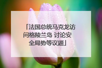 法国总统马克龙访问格陵兰岛 讨论安全局势等议题