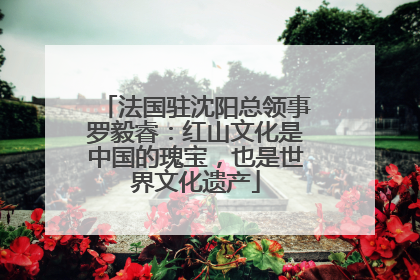 法国驻沈阳总领事罗毅睿：红山文化是中国的瑰宝，也是世界文化遗产