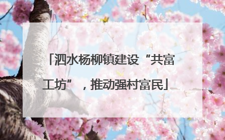 泗水杨柳镇建设“共富工坊”，推动强村富民