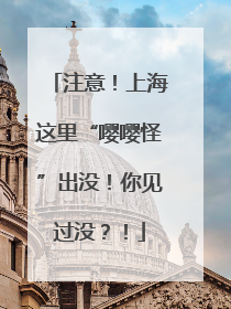 注意！上海这里“嘤嘤怪”出没！你见过没？！