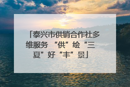 泰兴市供销合作社多维服务 “供”绘“三夏”好“丰”景