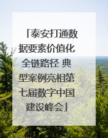 泰安打通数据要素价值化全链路径 典型案例亮相第七届数字中国建设峰会