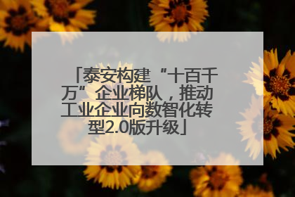 泰安构建“十百千万”企业梯队，推动工业企业向数智化转型2.0版升级