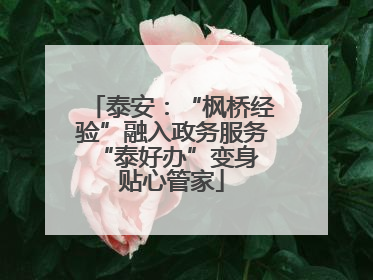泰安：“枫桥经验”融入政务服务 “泰好办”变身贴心管家