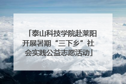 泰山科技学院赴莱阳开展暑期“三下乡”社会实践公益志愿活动