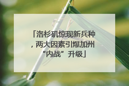洛杉矶惊现新兵种，两大因素引爆加州“内战”升级