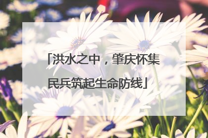 洪水之中，肇庆怀集民兵筑起生命防线