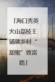 海口秀英火山荔枝王铺就乡村“甜蜜”致富路