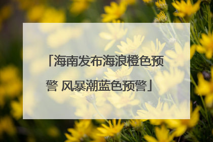 海南发布海浪橙色预警 风暴潮蓝色预警