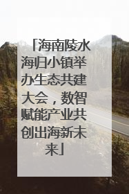 海南陵水海归小镇举办生态共建大会，数智赋能产业共创出海新未来