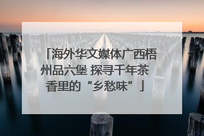海外华文媒体广西梧州品六堡 探寻千年茶香里的“乡愁味”