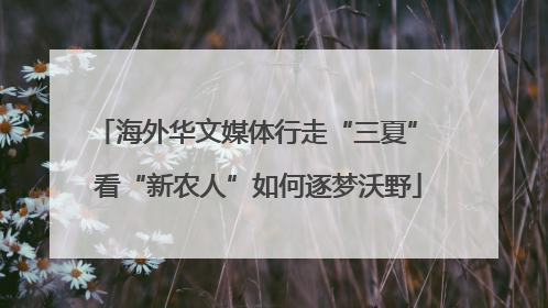 海外华文媒体行走“三夏” 看“新农人”如何逐梦沃野