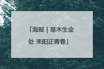 海报｜草木生金处 耒阳正青春