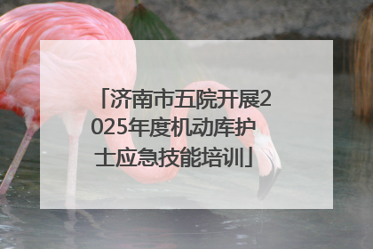 济南市五院开展2025年度机动库护士应急技能培训