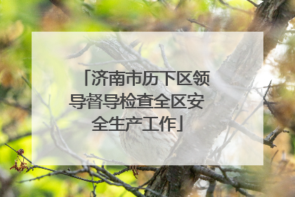济南市历下区领导督导检查全区安全生产工作