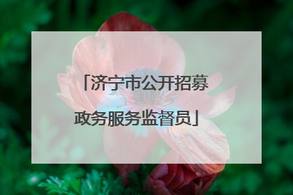 济宁市公开招募政务服务监督员