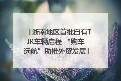 浙南地区首批自有TIR车辆启程 “购车远航”助推外贸发展
