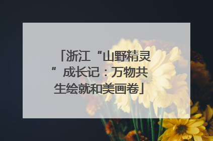 浙江“山野精灵”成长记：万物共生绘就和美画卷