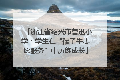 浙江省绍兴市鲁迅小学：学生在“孺子牛志愿服务”中历练成长