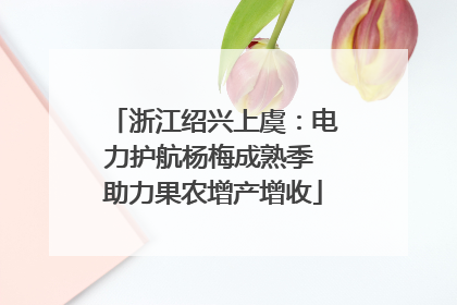 浙江绍兴上虞：电力护航杨梅成熟季 助力果农增产增收