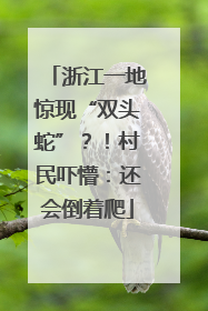 浙江一地惊现“双头蛇”？！村民吓懵：还会倒着爬