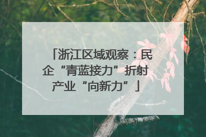 浙江区域观察：民企“青蓝接力”折射产业“向新力”