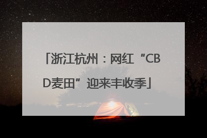 浙江杭州：网红“CBD麦田”迎来丰收季