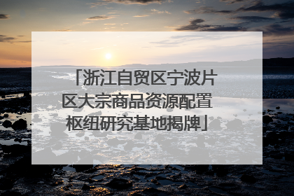 浙江自贸区宁波片区大宗商品资源配置枢纽研究基地揭牌